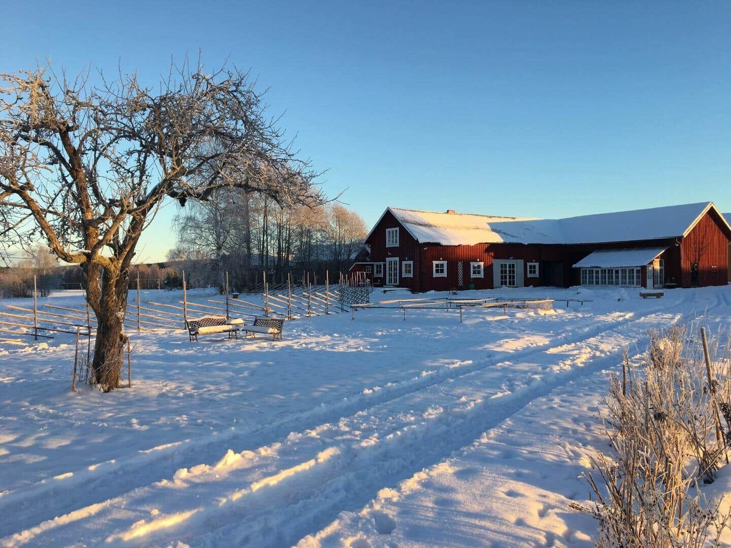 Rotes Bauernhaus mit Schneebedecktem Dach und umliegenden verschneiten Bäumen.