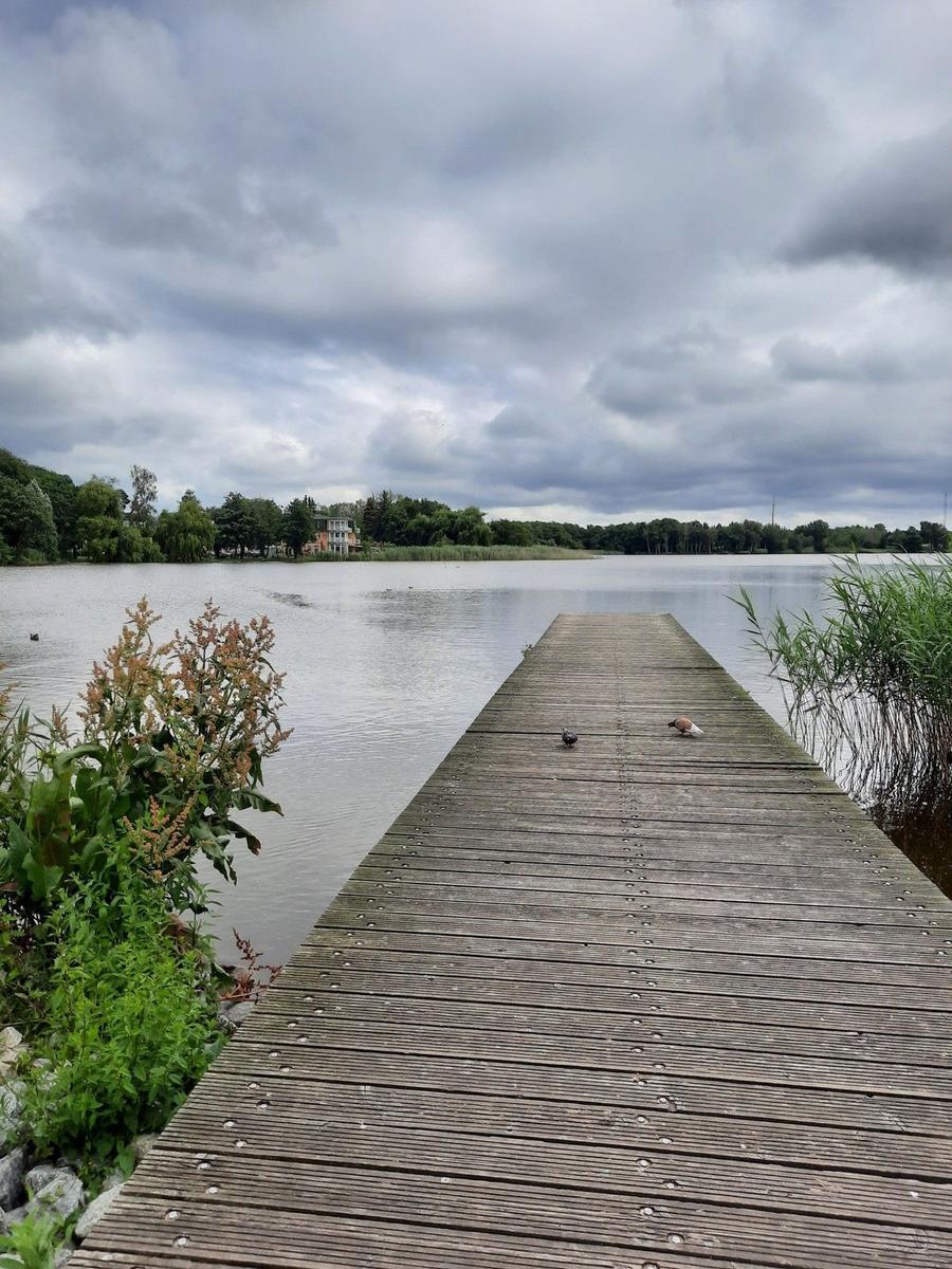 Holzsteg führt über ruhiges Wasser zu einem Ufer mit Bäumen und Gras.