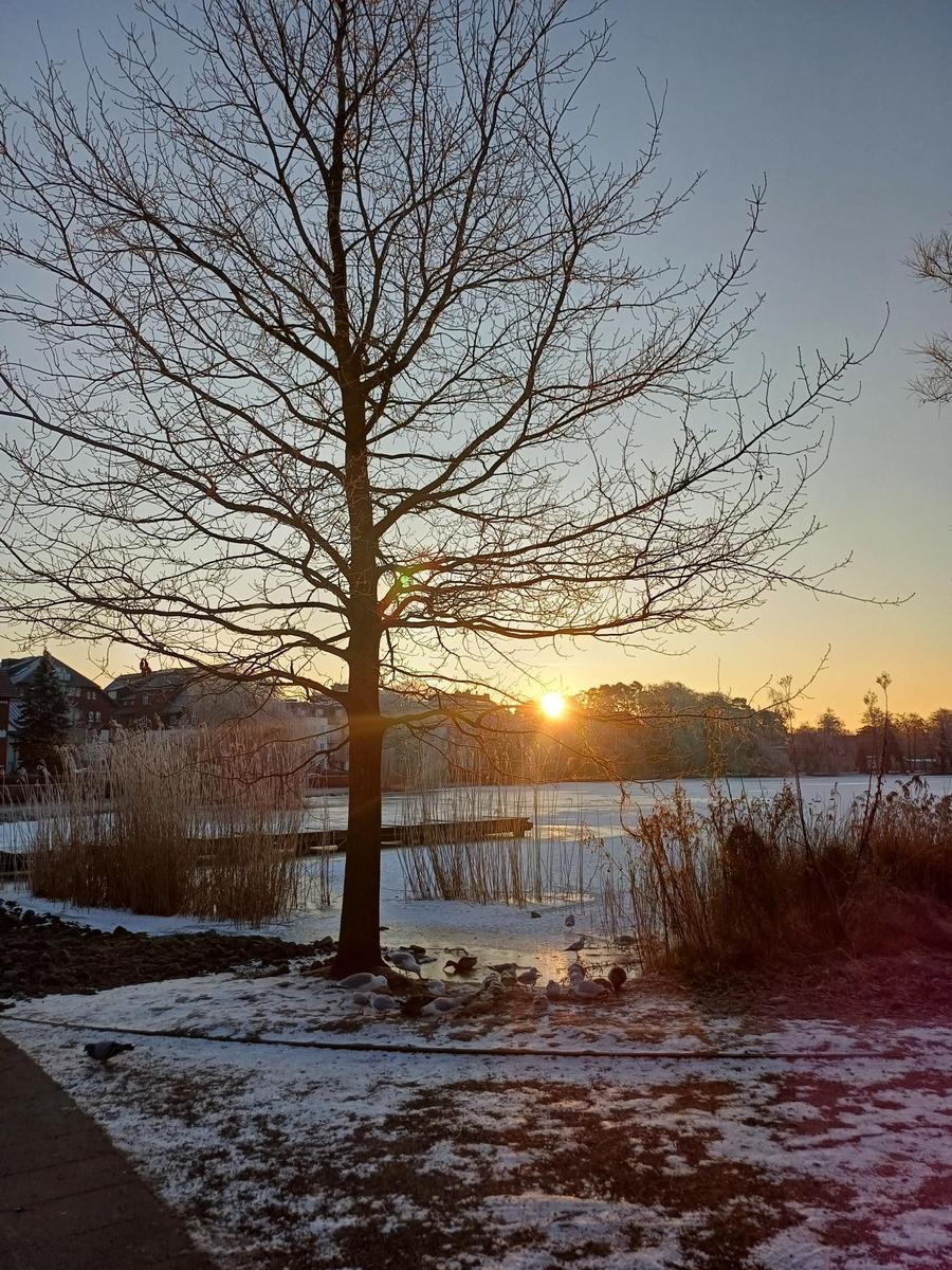 Blick auf einen See bei Sonnenuntergang mit einem kahlen Baum und Schnee am Ufer.