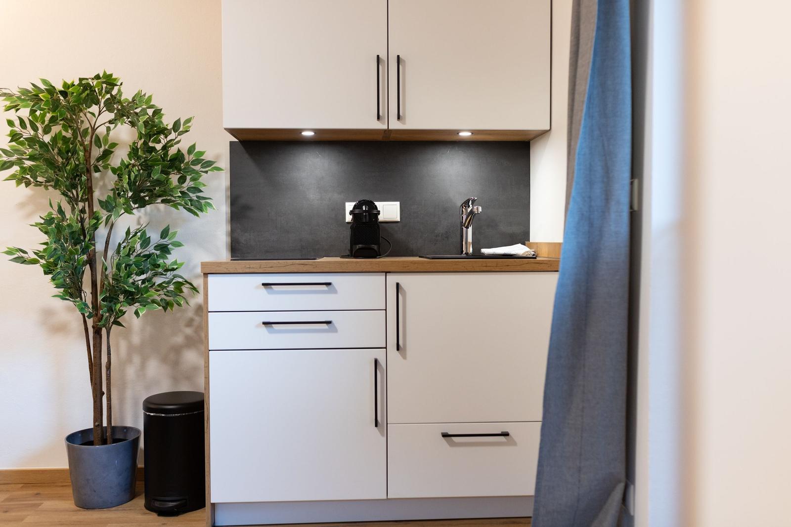 Küche mit weißen Schränken, Holzoberfläche und Pflanze an der Wand.