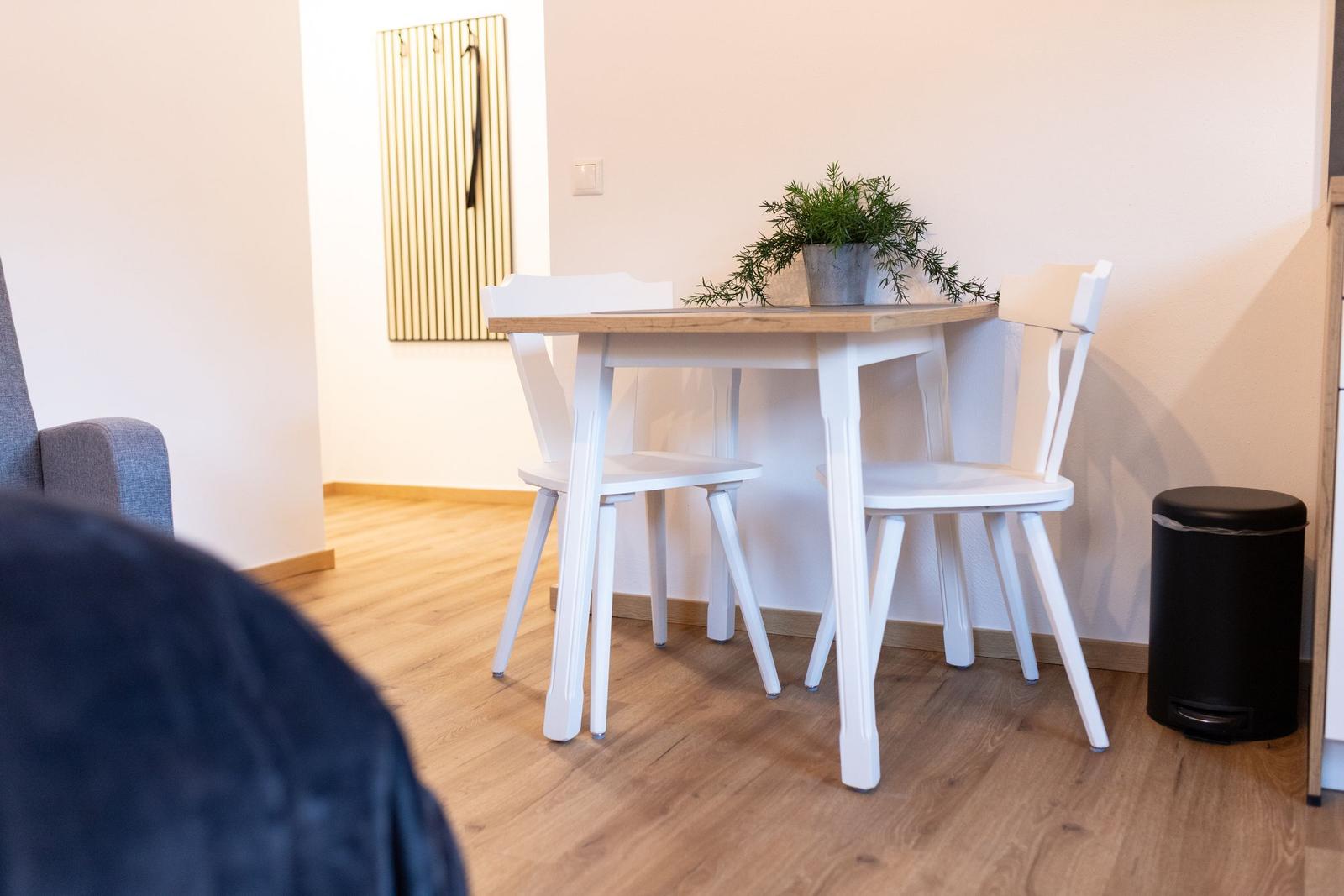 Esstisch mit zwei Stühlen und Pflanze in der Ecke