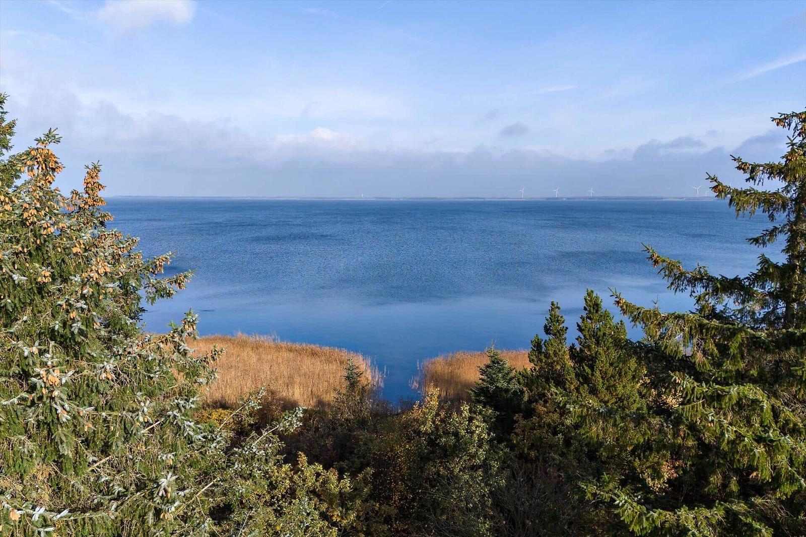 Weitläufiger Blick auf ruhiges Wasser mit Windkraftanlagen im Hintergrund und Wald im Vordergrund.