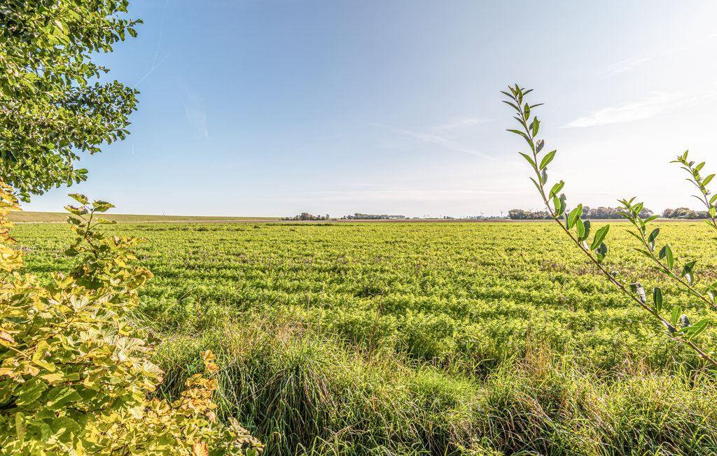 Weitläufiges Feld mit grüner Vegetation unter klarem Himmel, umrahmt von Pflanzen im Vordergrund.