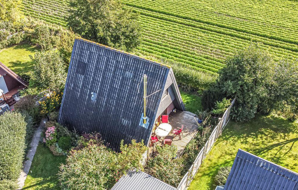 Haus mit Terrasse, umgeben von Weinreben und Grünflächen.