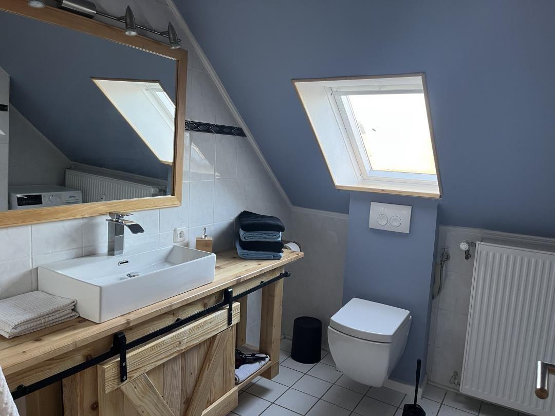 Bathroom with sloped ceiling, sink on wooden counter, toilet, and skylight.