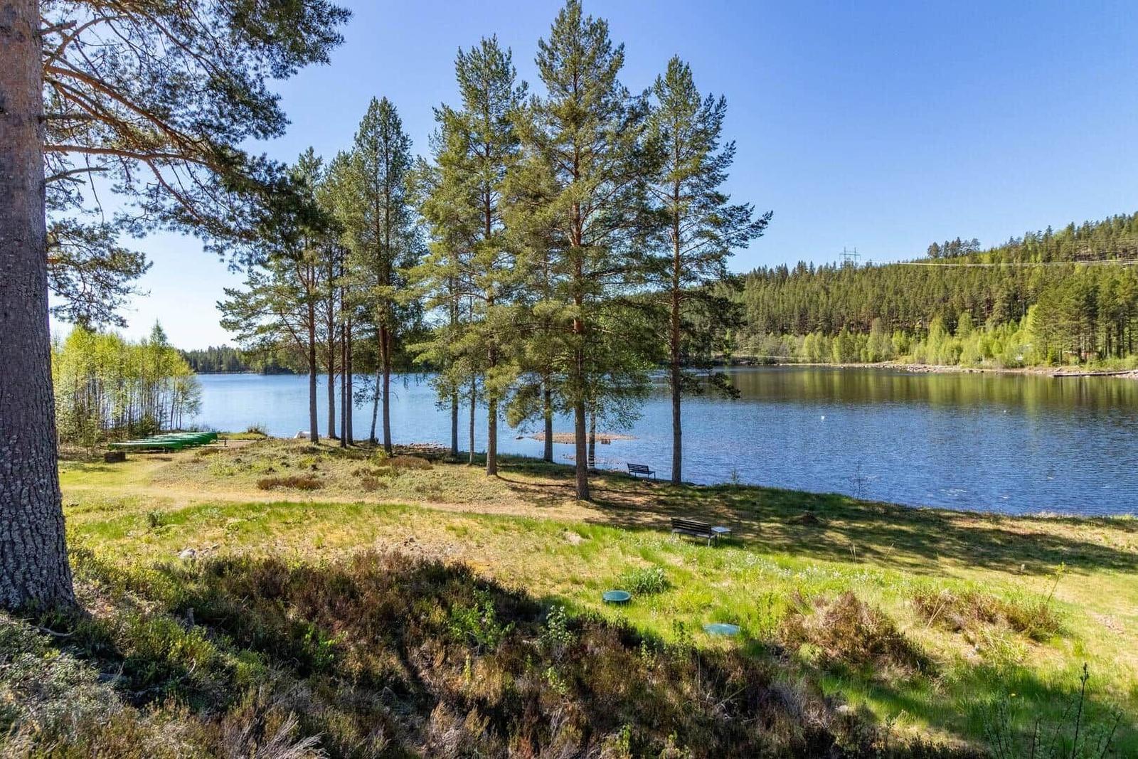 Grüner Hang mit Bäumen und Seeufer. Bank und Grasfläche. Blick auf ruhigen See.
