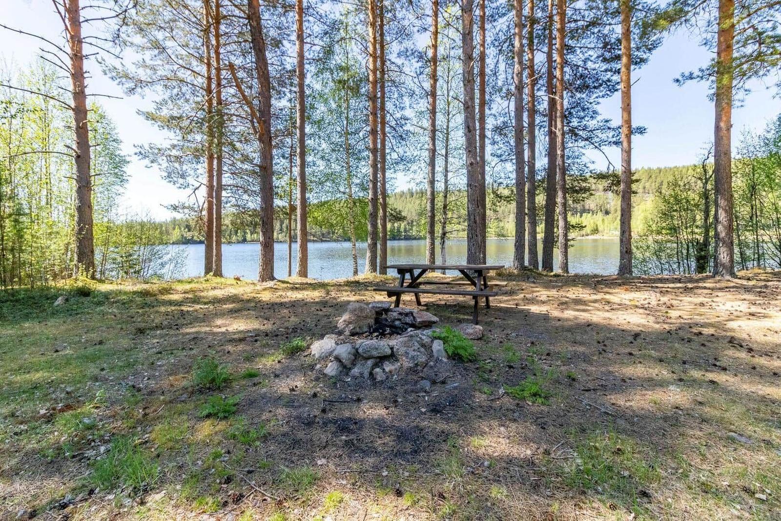 Picknicktisch und Feuerstelle unter Bäumen am See