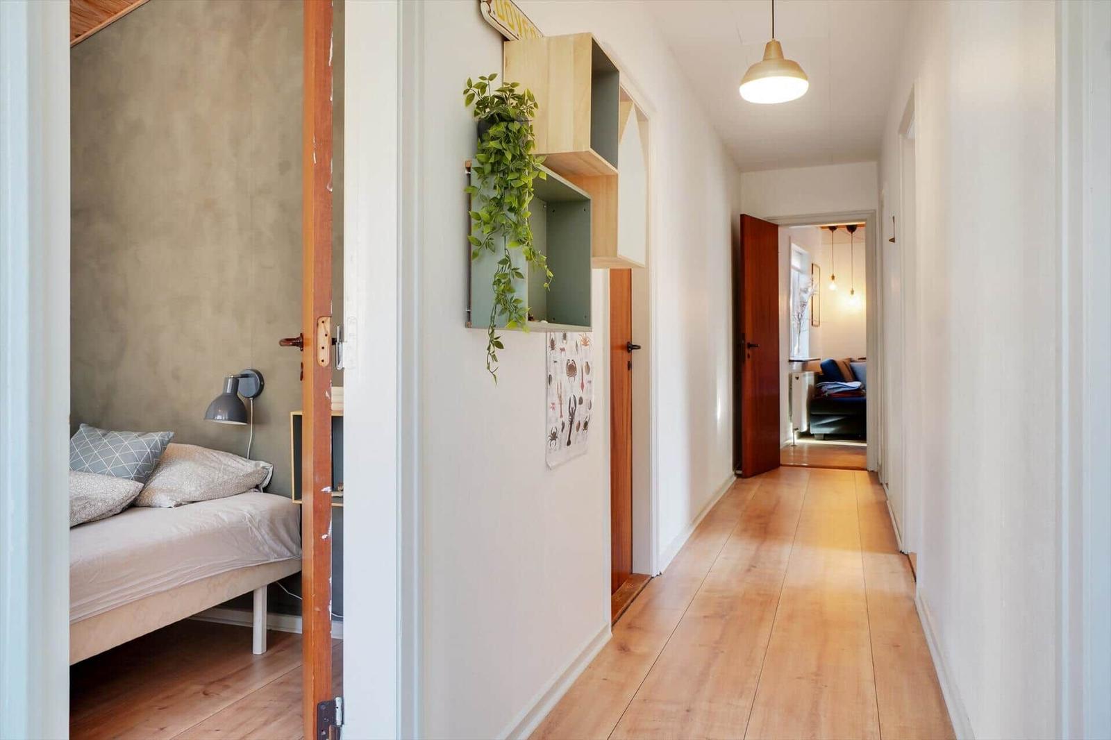 Hallway with wooden floor and bedroom. Wall shelf with plant. Doors to other rooms.