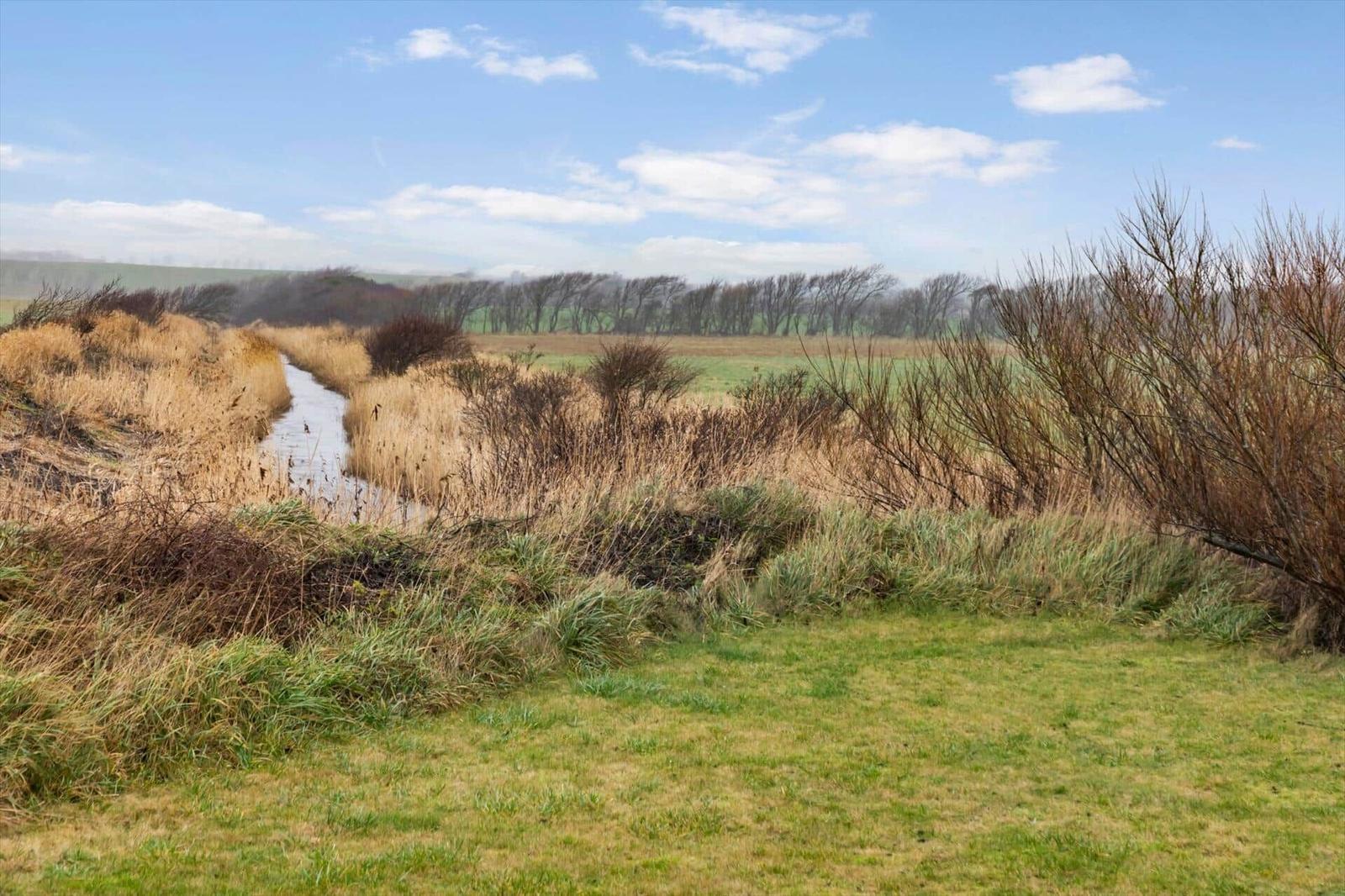 A narrow water channel flows through a green meadow with tall grass and trees in the background.