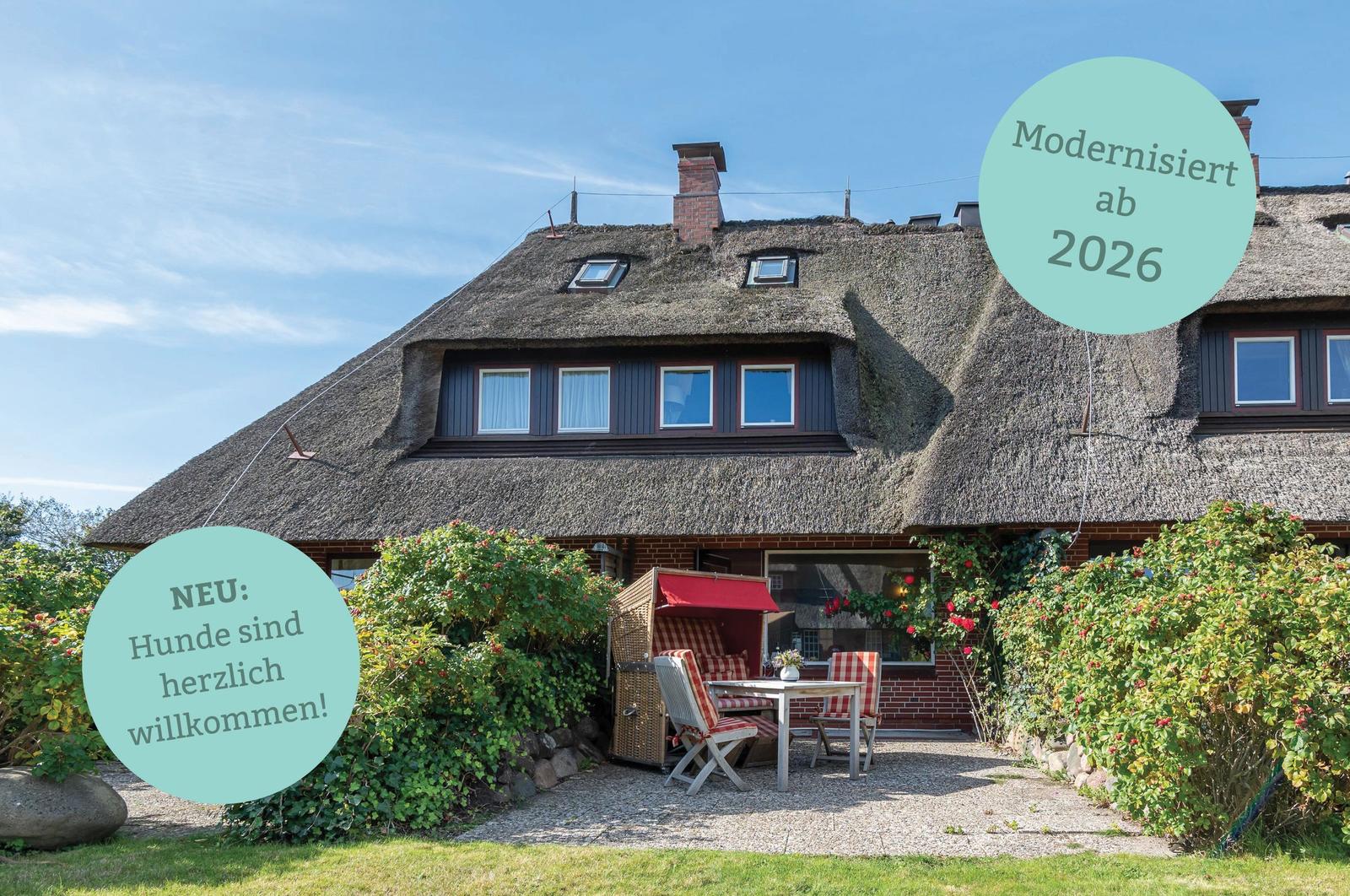Haus mit Strohdach, Terrasse mit Gartenmöbeln und Rosengesträuch. Modernisiert ab 2026. Hunde willkommen.