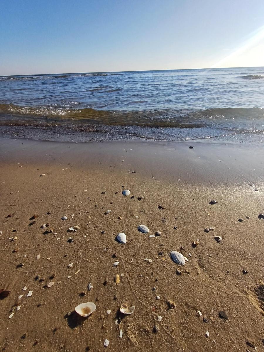 Strand mit Muscheln und sanften Wellen