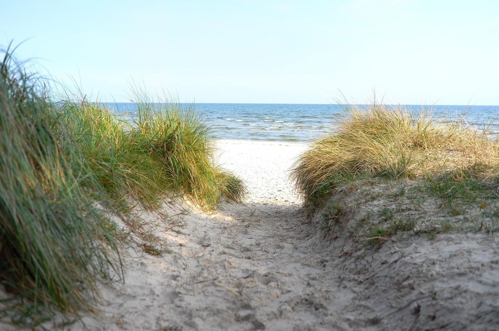 Sandweg zwischen Dünen führt zum Strand und Meer.