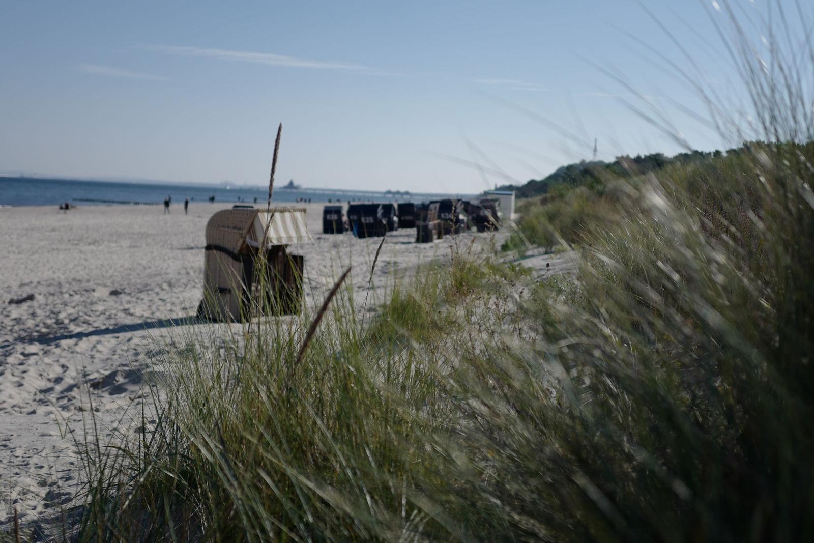 Strand mit Strandkörben und Dünengras im Vordergrund.