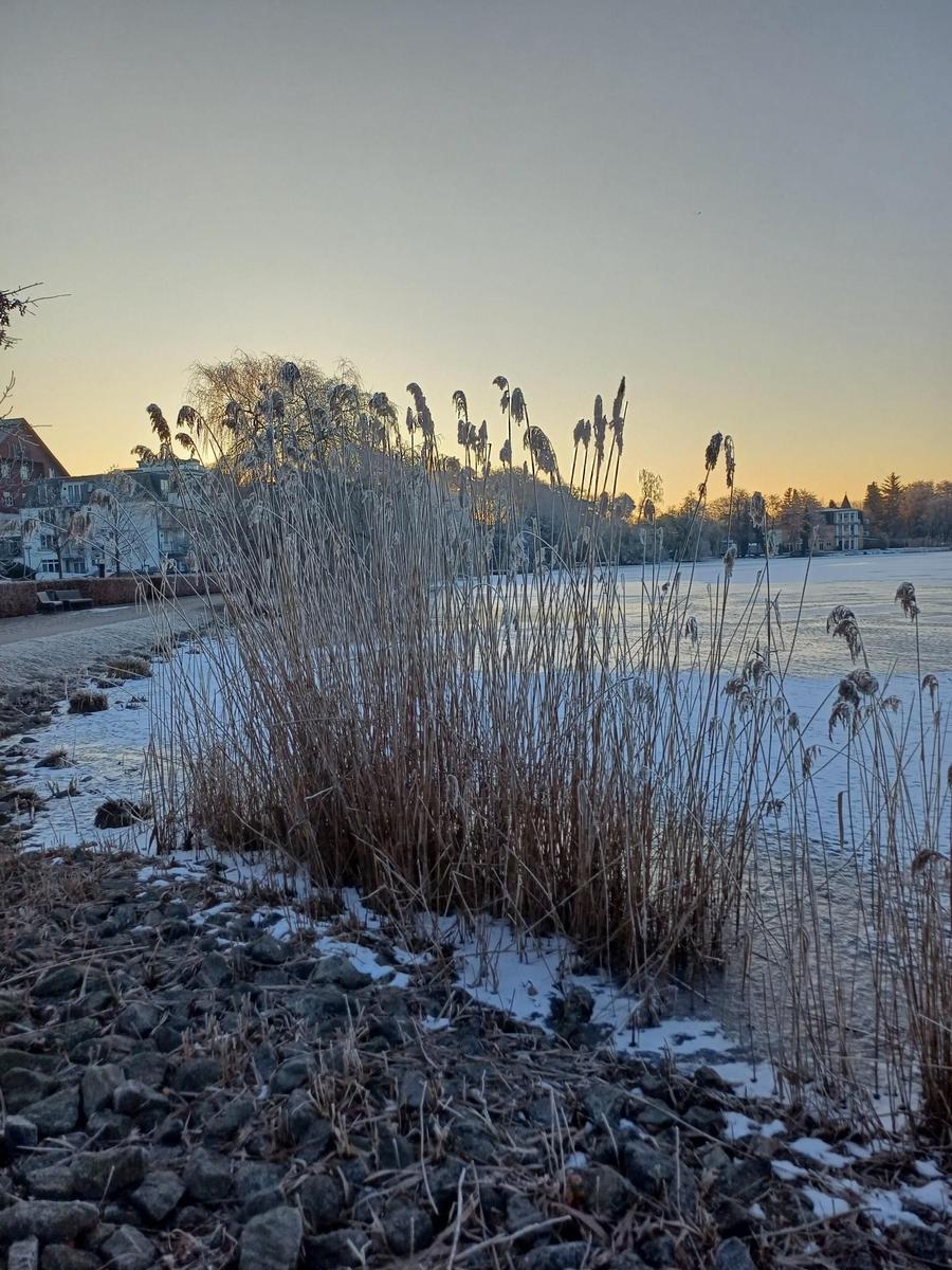 Schneebedeckter See mit Schilf und Häusern im Hintergrund bei Sonnenuntergang.