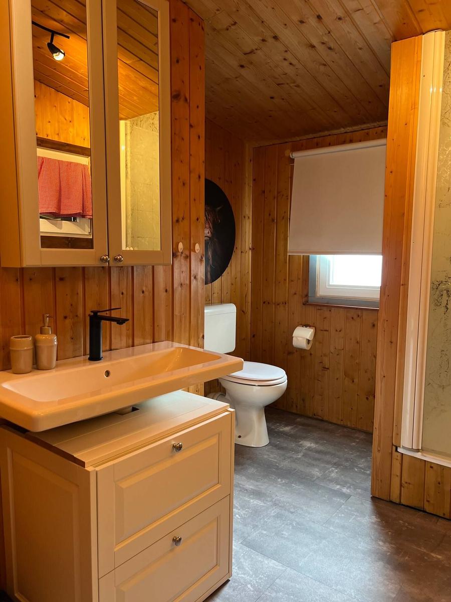 Bad mit Waschbecken, Toilette und Dusche. Holzwand und -decke.