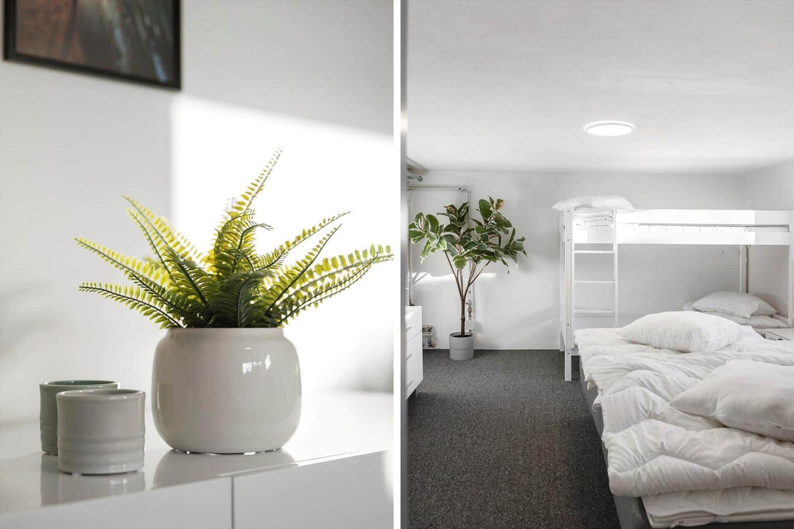 Bedroom with bunk bed and houseplant. Shelf with plant and mugs.