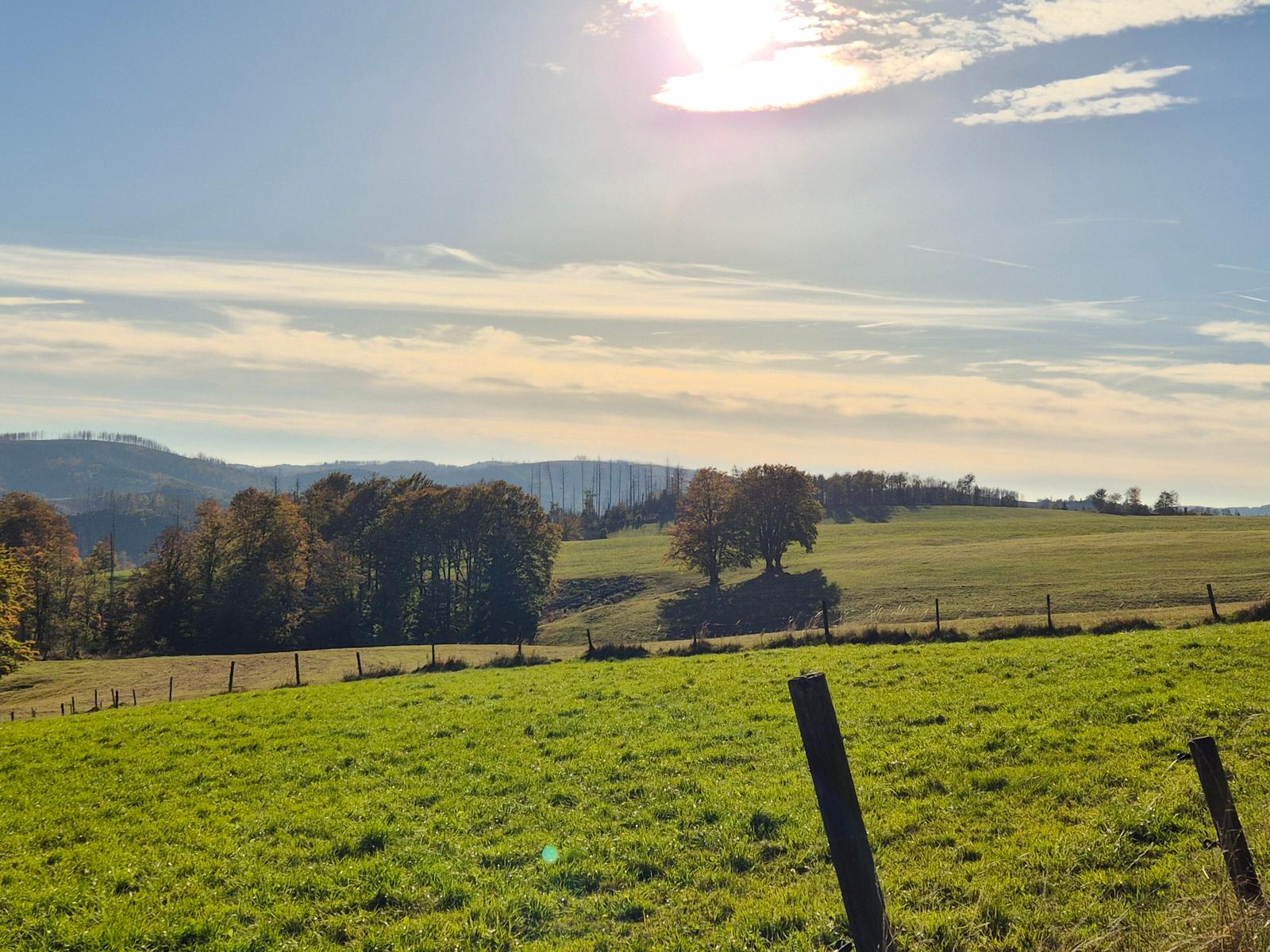 Die Seele baumeln lassen direkt vor der Haustür.