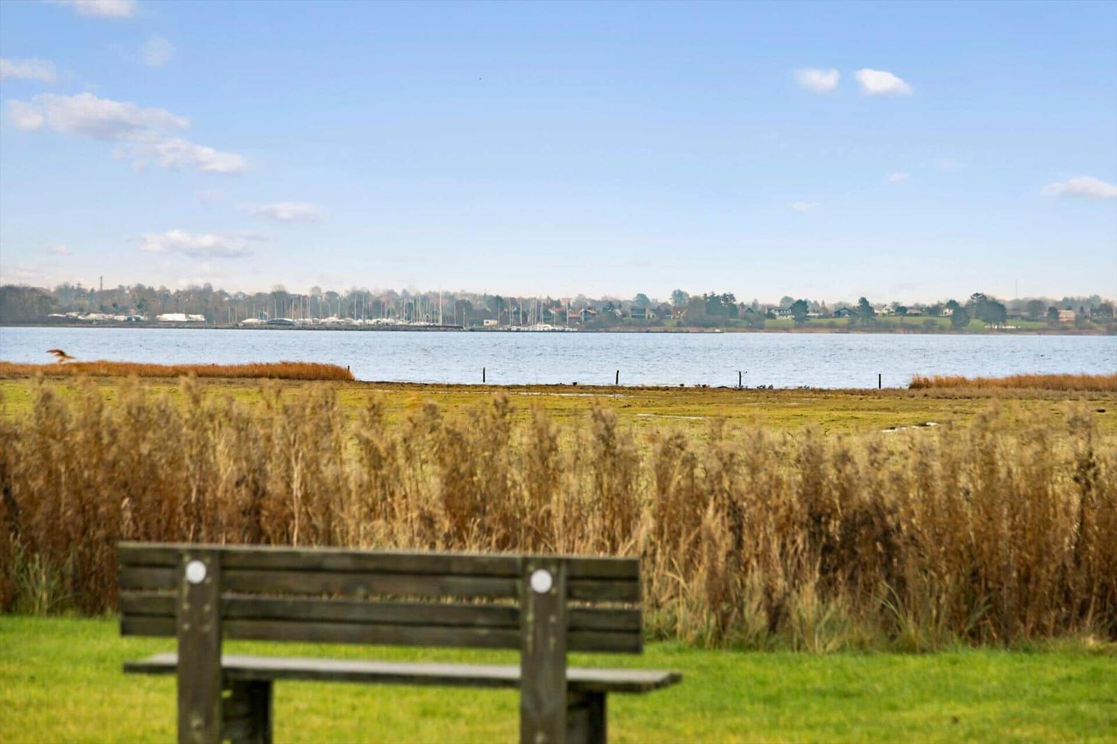 Wooden bench in front of grassland with view of water and shore