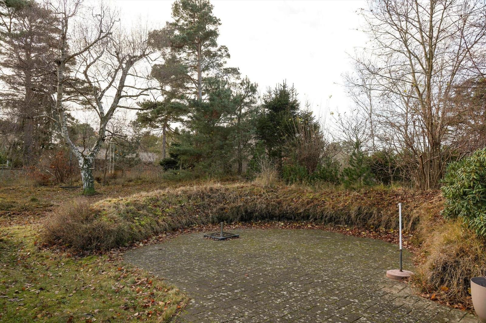 Paved area with trees and shrubs in the background.