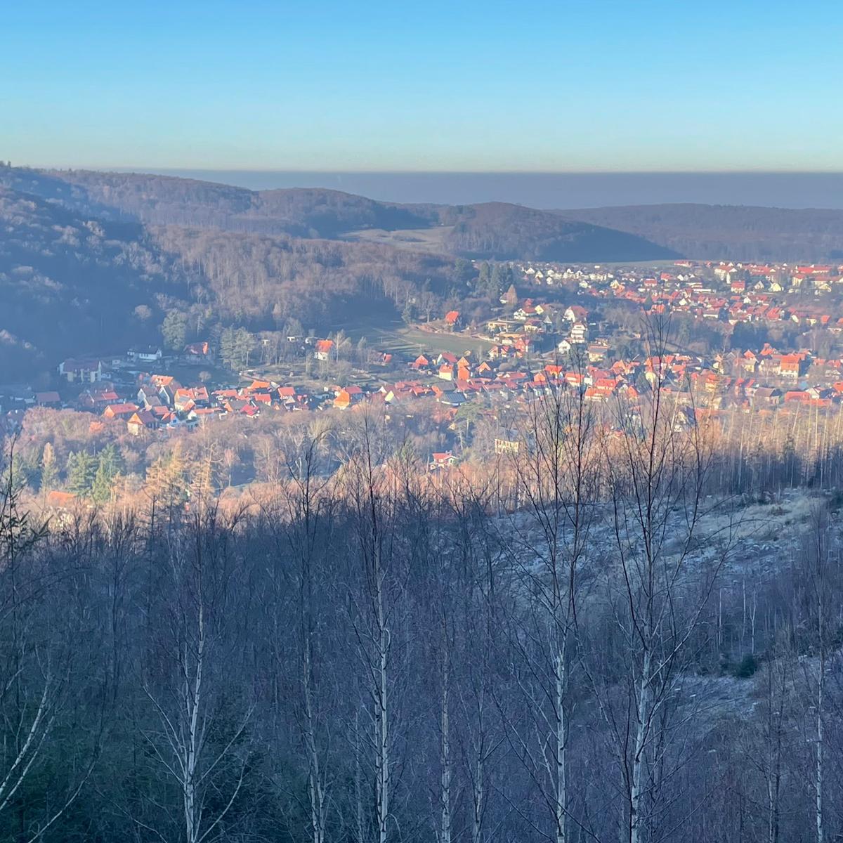 Ilsenburg vom Ilsestein aus gesehen