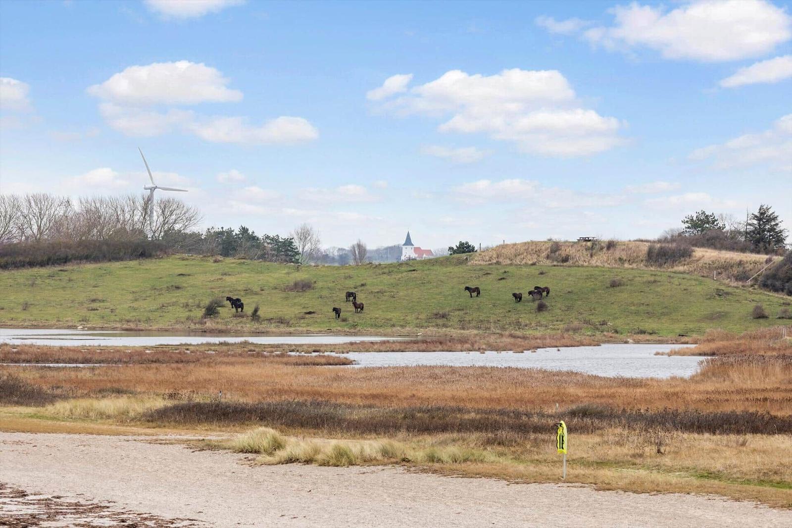 Green meadows with horses, water area, and wind turbine under blue sky.