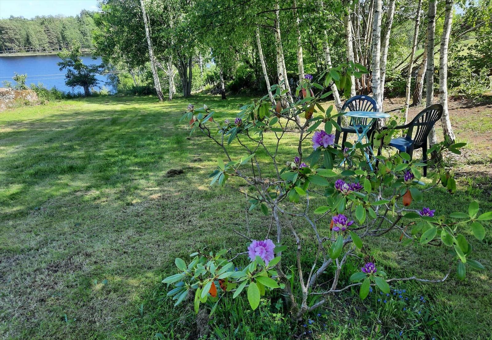 Grüner Garten mit Blumen und Tisch unter Bäumen am See