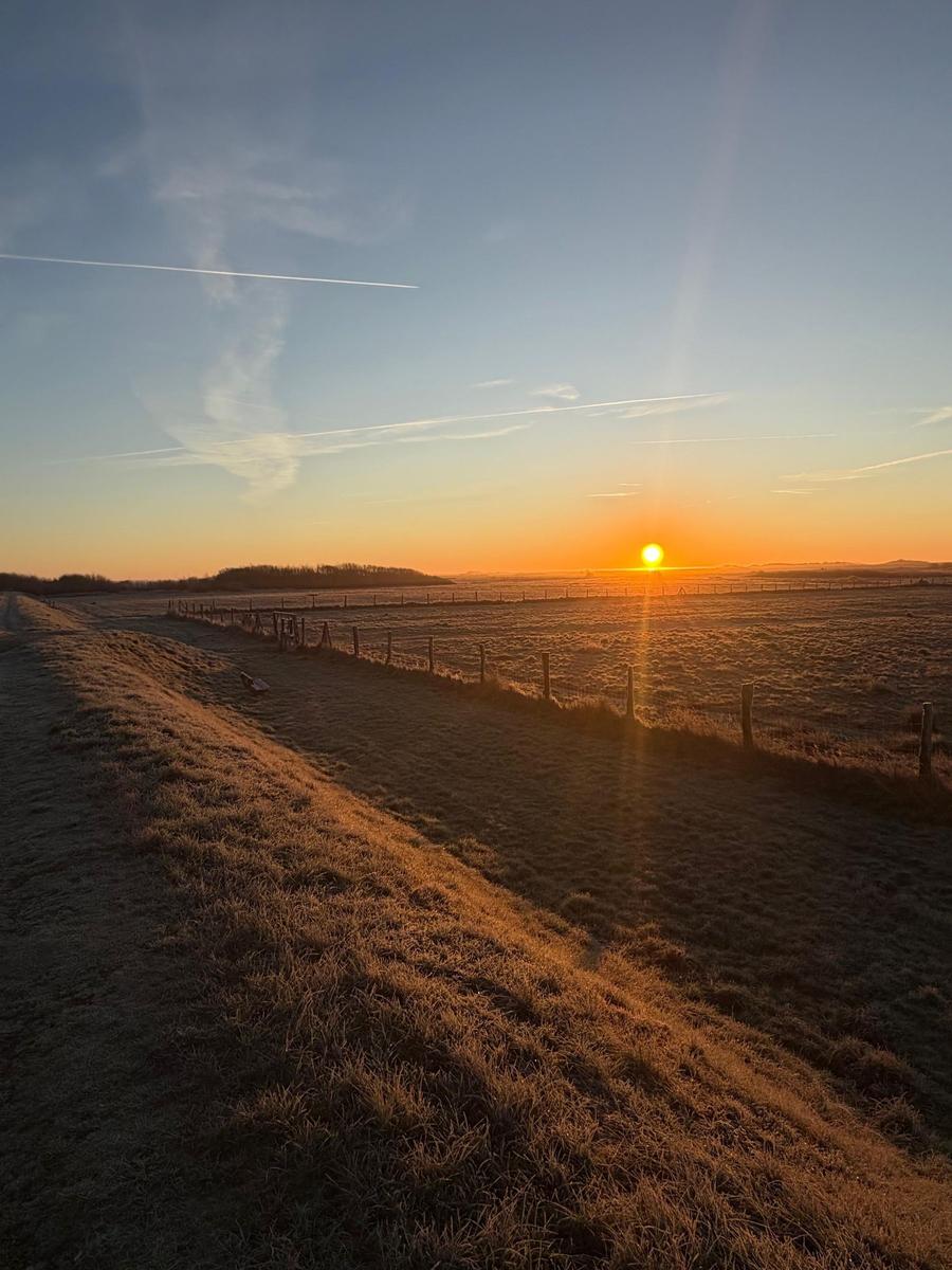 Sonnenuntergang über gefrorenem Feld mit Holzzaun und klarem Himmel.