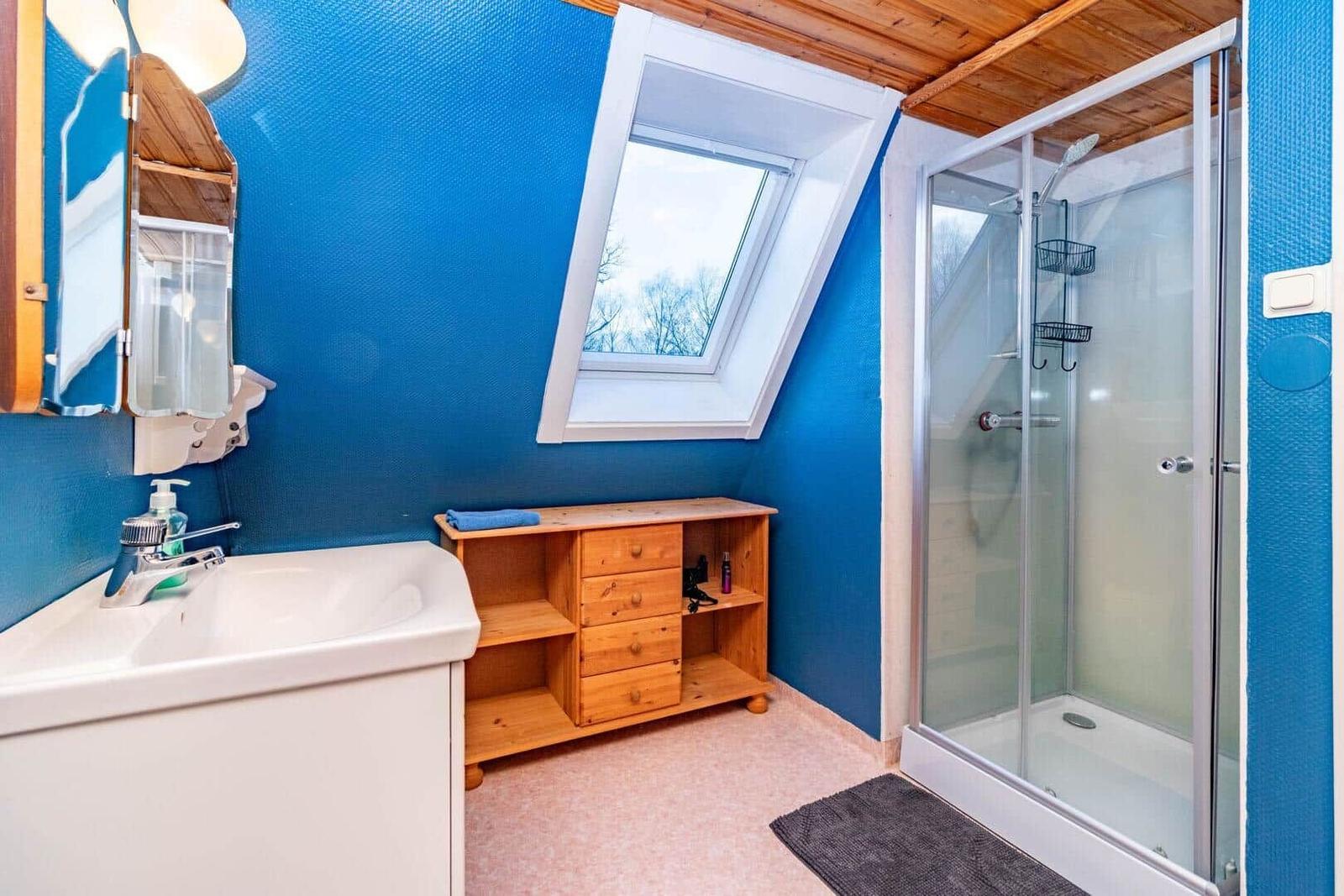 Badezimmer mit Dusche, Waschbecken und Dachfenster. Blaue Wände und Holzelemente.
