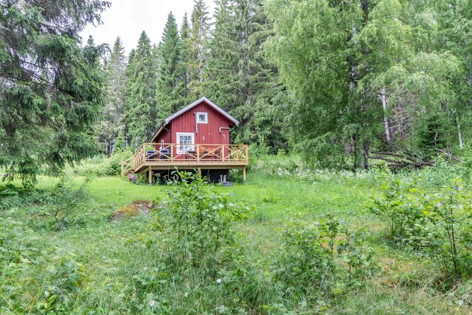 Rotes Holzhaus mit Terrasse im Wald. Grasland und Bäume umgeben die Unterkunft.