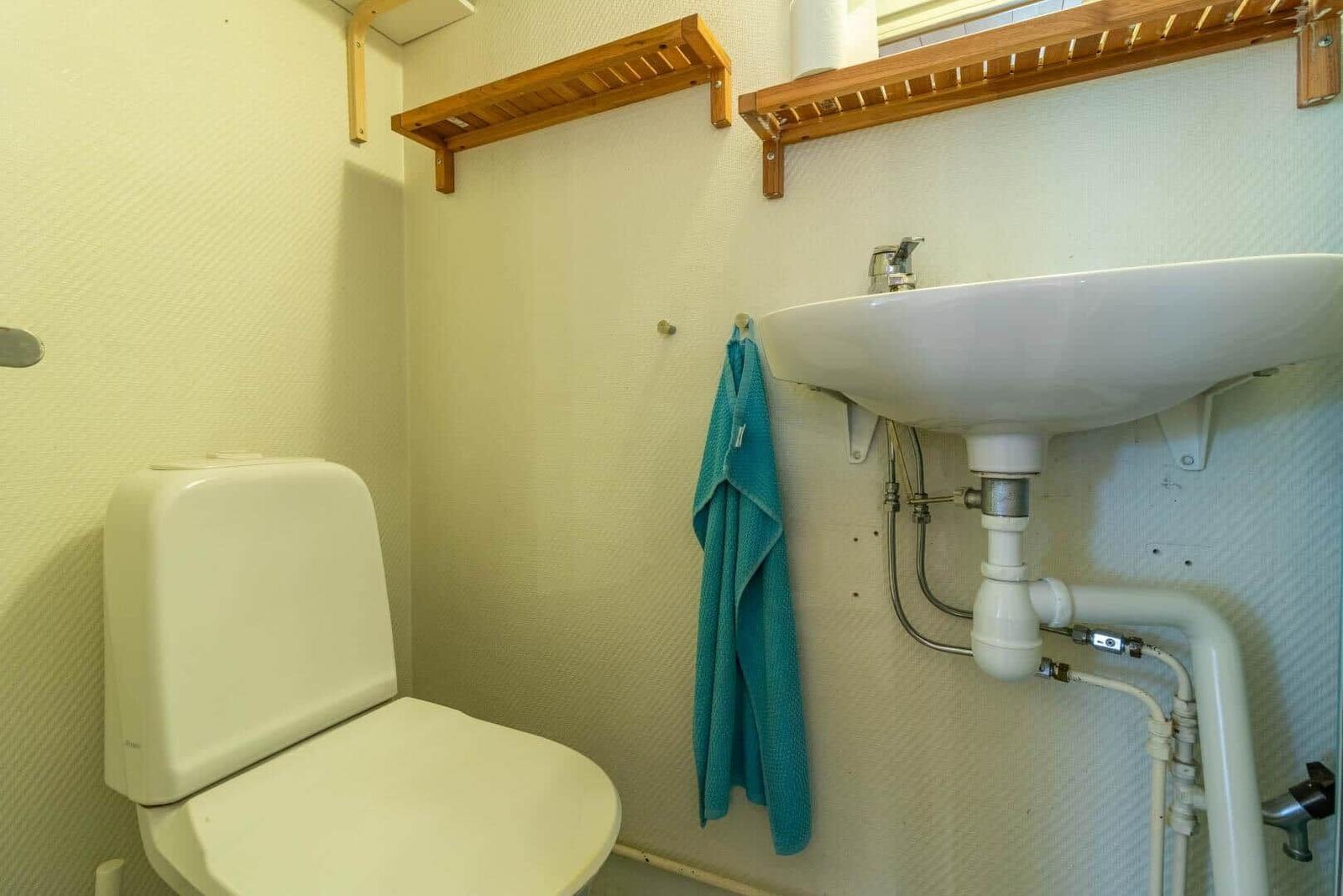 Bathroom with toilet, sink, and wooden shelves on the wall.