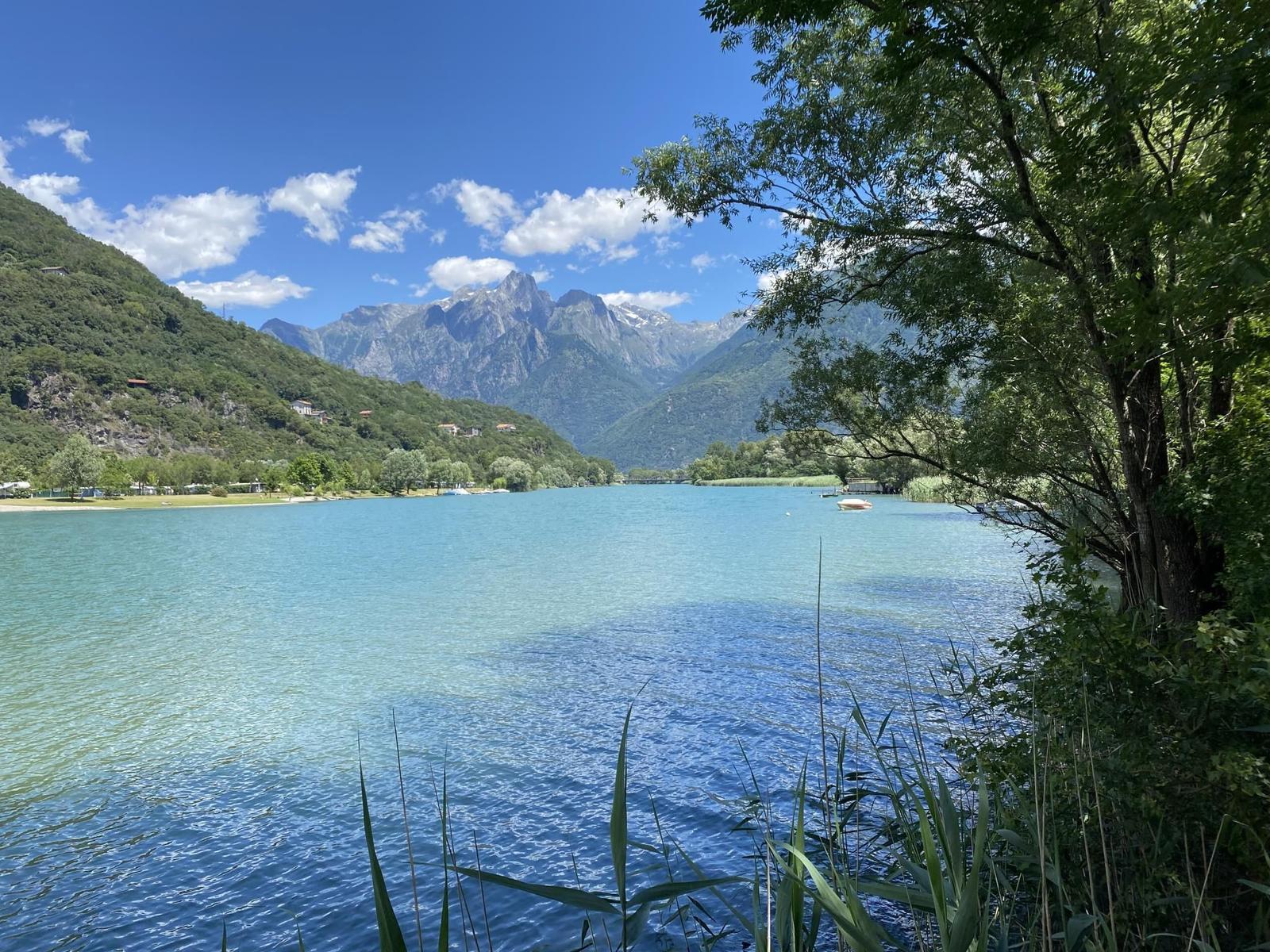Ein ruhiger See mit Bergen im Hintergrund und Bäumen am Ufer.