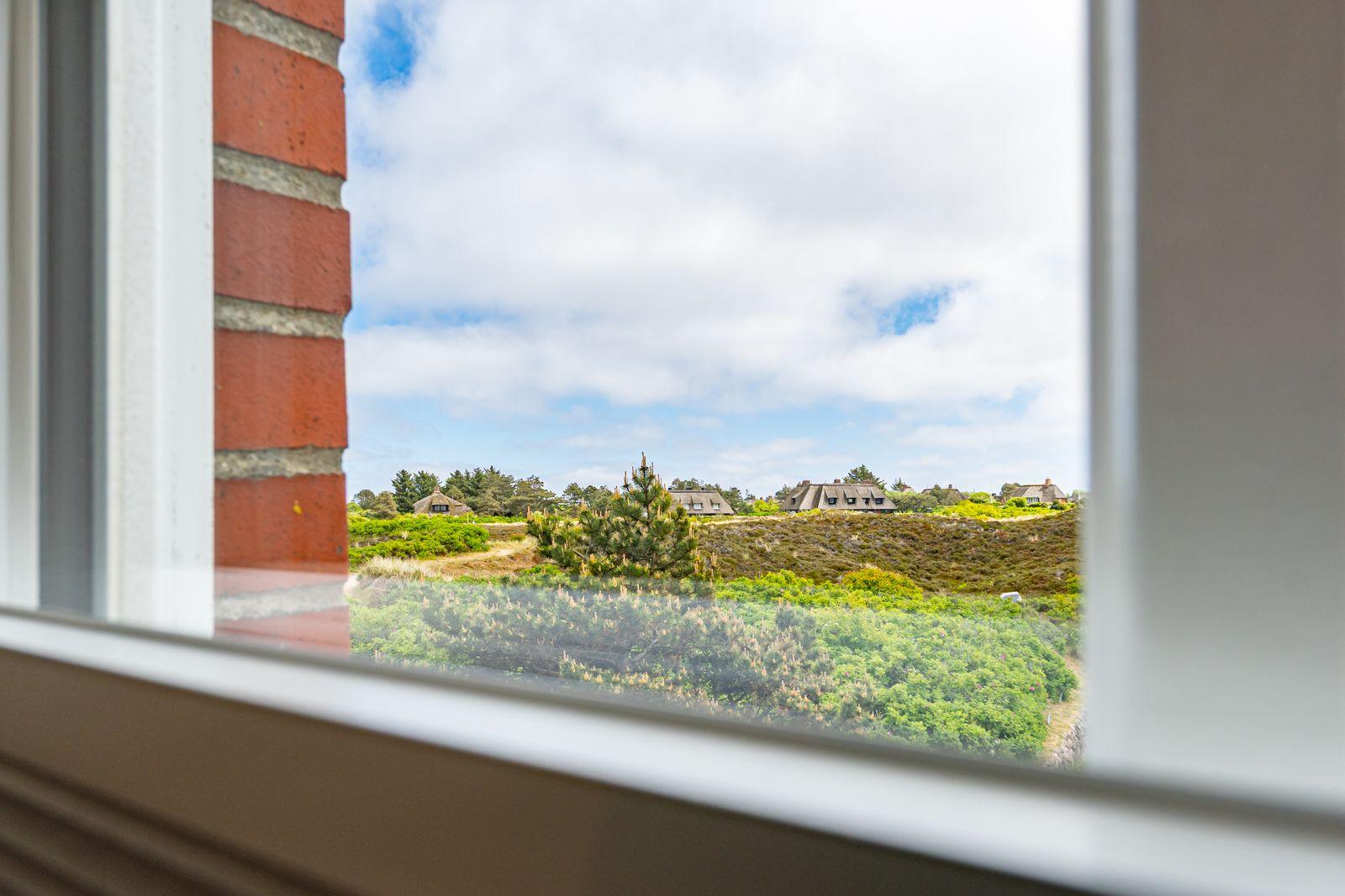 Aus dem Fenster blickt man auf grüne Landschaft und Häuser.