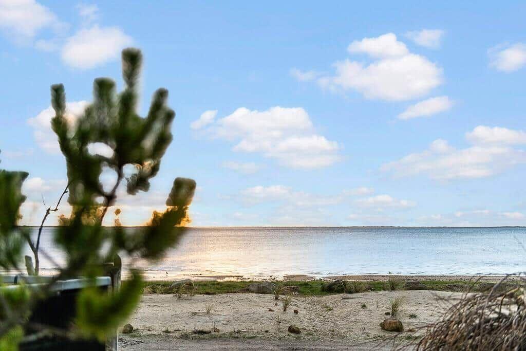 Seaside view with sandy beach and blue sky with white clouds. Green plants in the foreground.