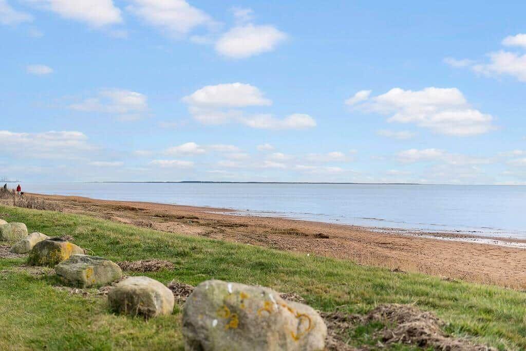 Beach with grass and stones under blue sky with white clouds.
