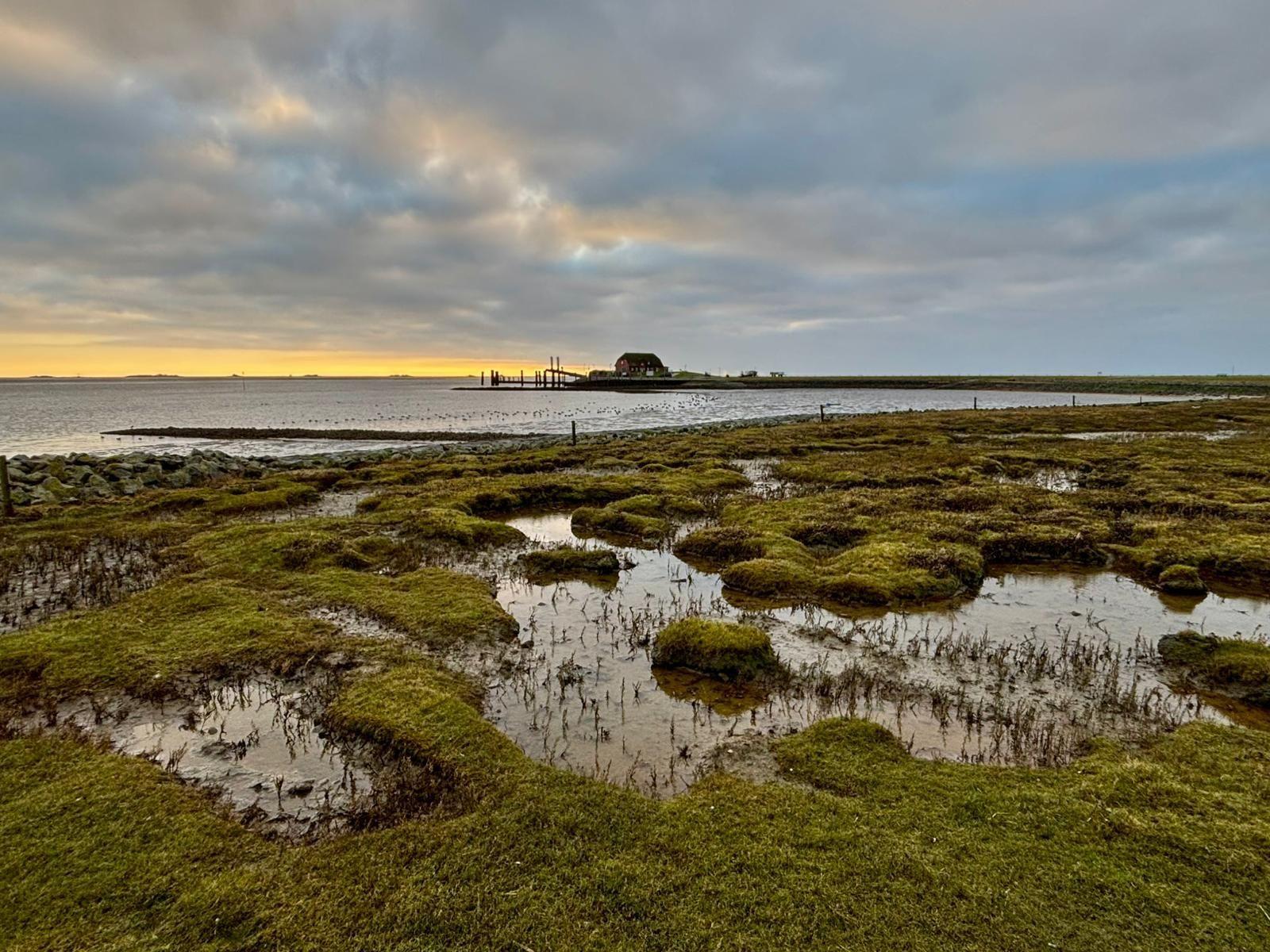 Wassermarke mit Gras und einem Haus am Wasser