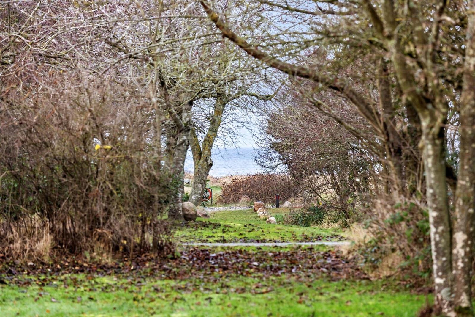 Path through trees to the beach. Grass, stones, and bare branches.