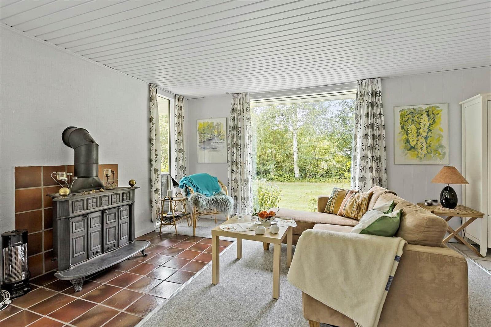 Living room with sofa, fireplace, and view of a garden.