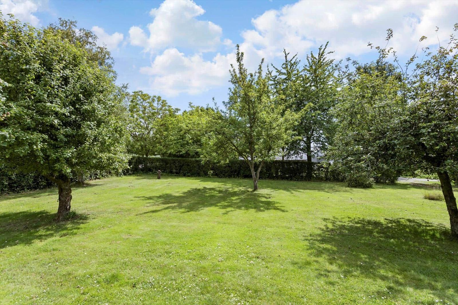 Lush green lawn with trees and hedge under blue sky.