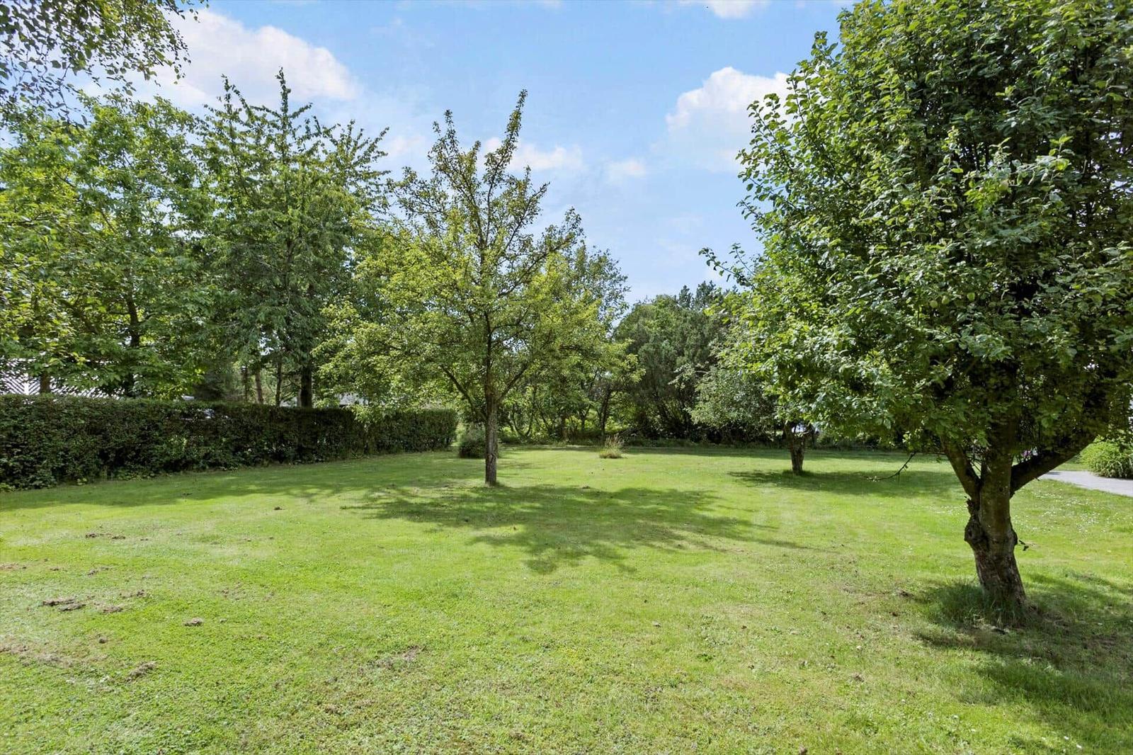 Green lawn area with trees and hedge under blue sky.