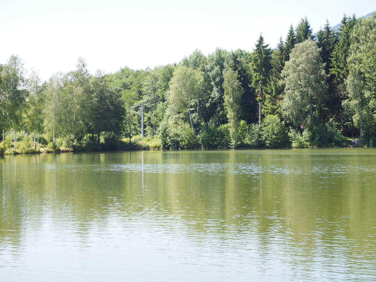 A calm lake with green shoreline vegetation and trees in the background.