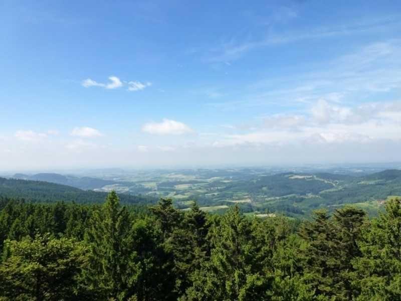 Wide view over forested hills and valleys under blue sky with white clouds.