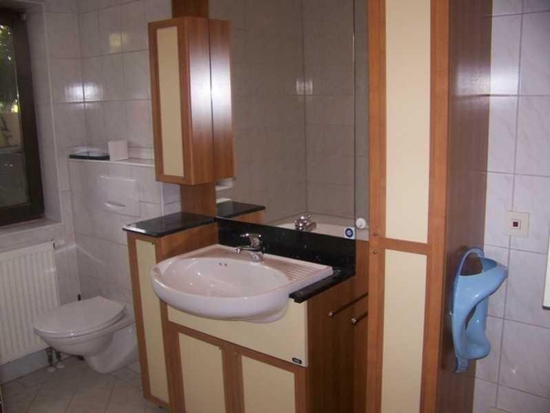 Bathroom with sink, mirror, toilet, and blue hanging fixture