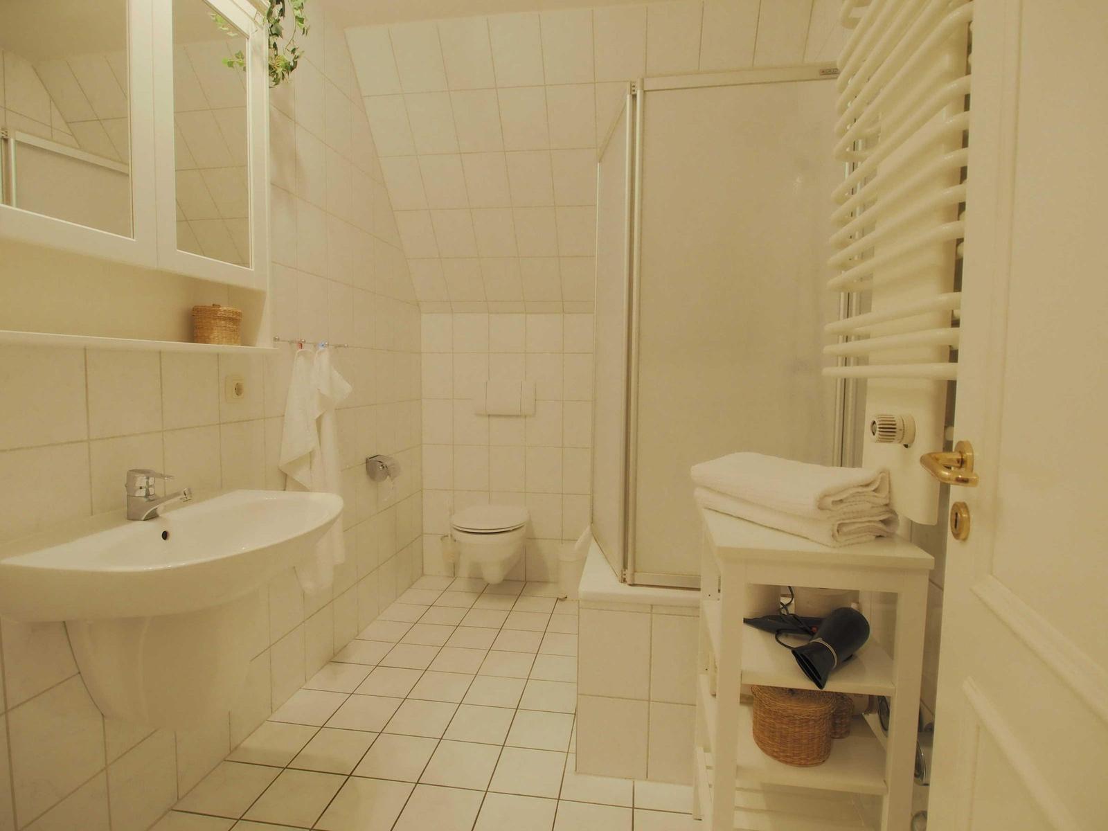 Badezimmer mit Dusche, Toilette, Waschbecken und Handtuchheizung.