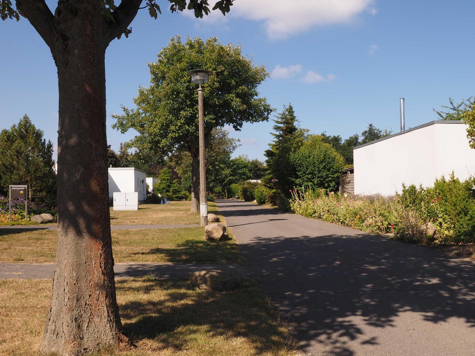 Schattiger Weg zwischen Bäumen und weißen Häusern mit Garten und Steinen.