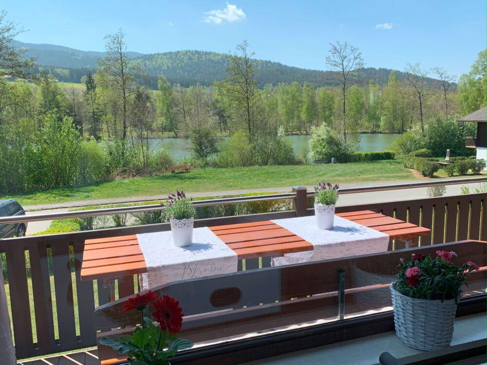 Terrace with table, flowers, and view of lake and forest.