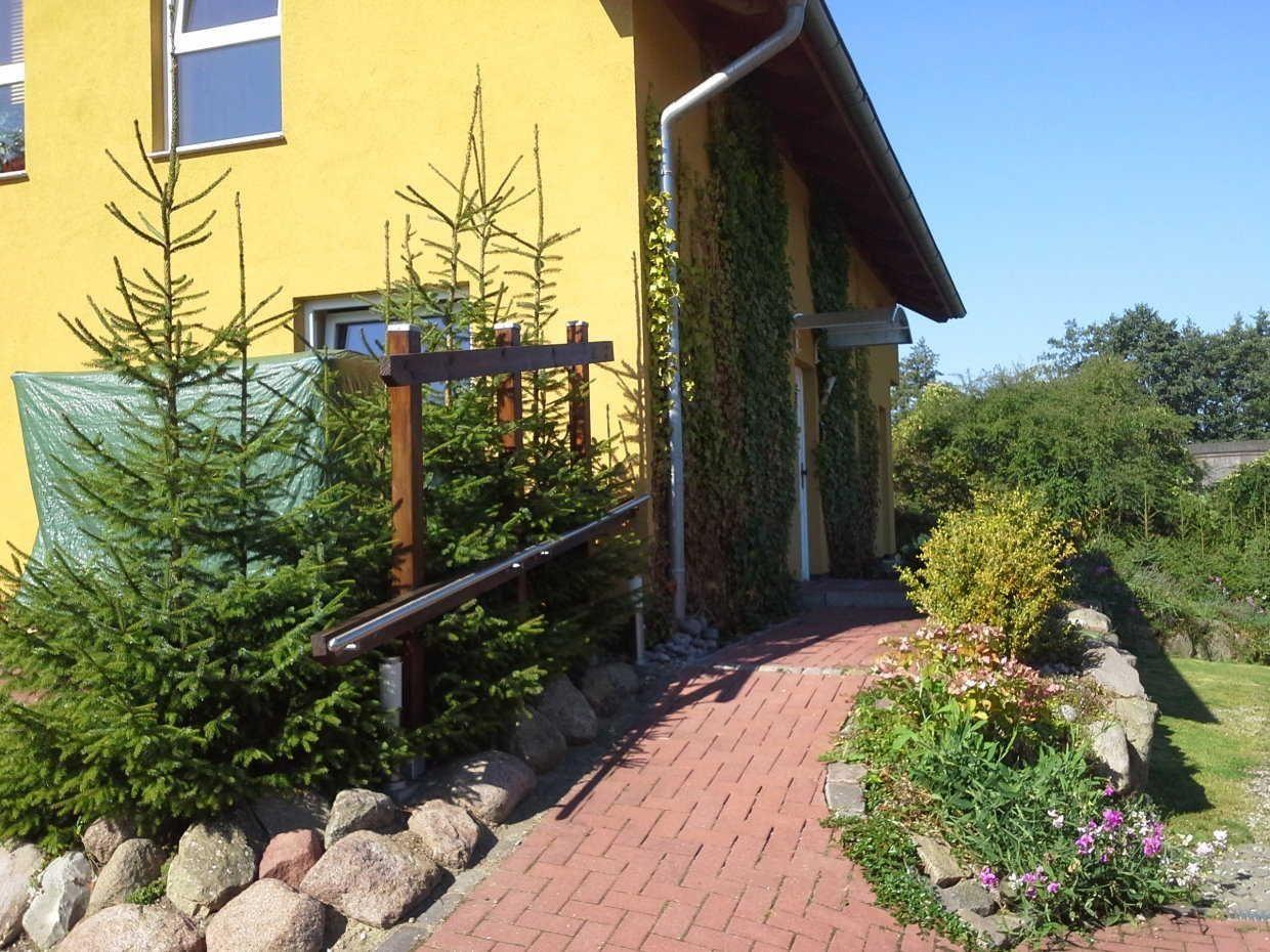 Haus mit gelber Fassade, rotem Steinweg und grünen Bäumen im Vorgarten.