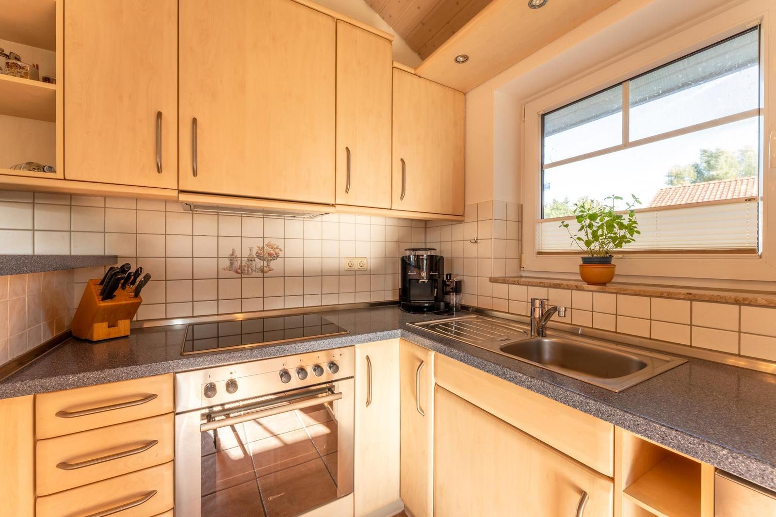 Küche mit Holzschränken, Edelstahlspüle und Fenster mit Pflanze.