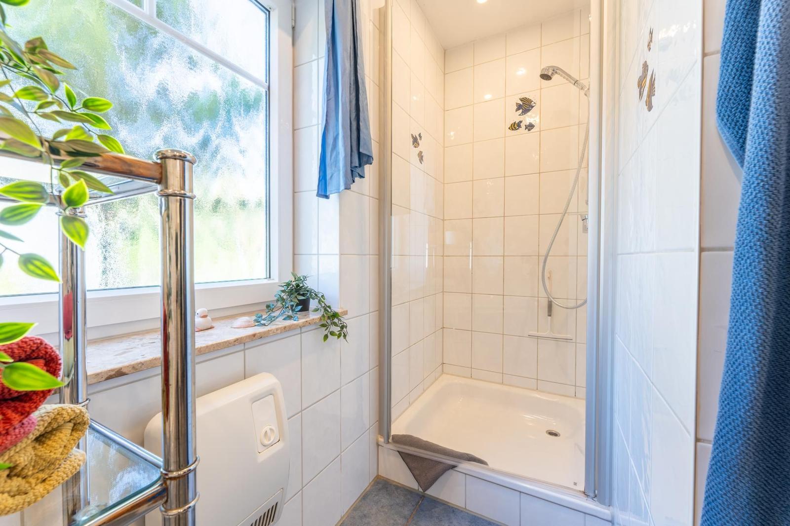 Badezimmer mit Dusche, Fenster und Handtuchhalter