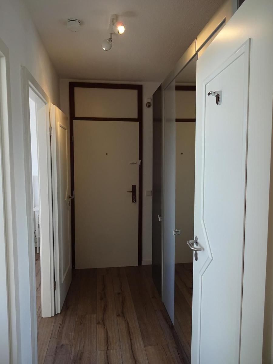 Flur mit Holzboden und weißen Türen. Deckenleuchte und Spiegel sichtbar.