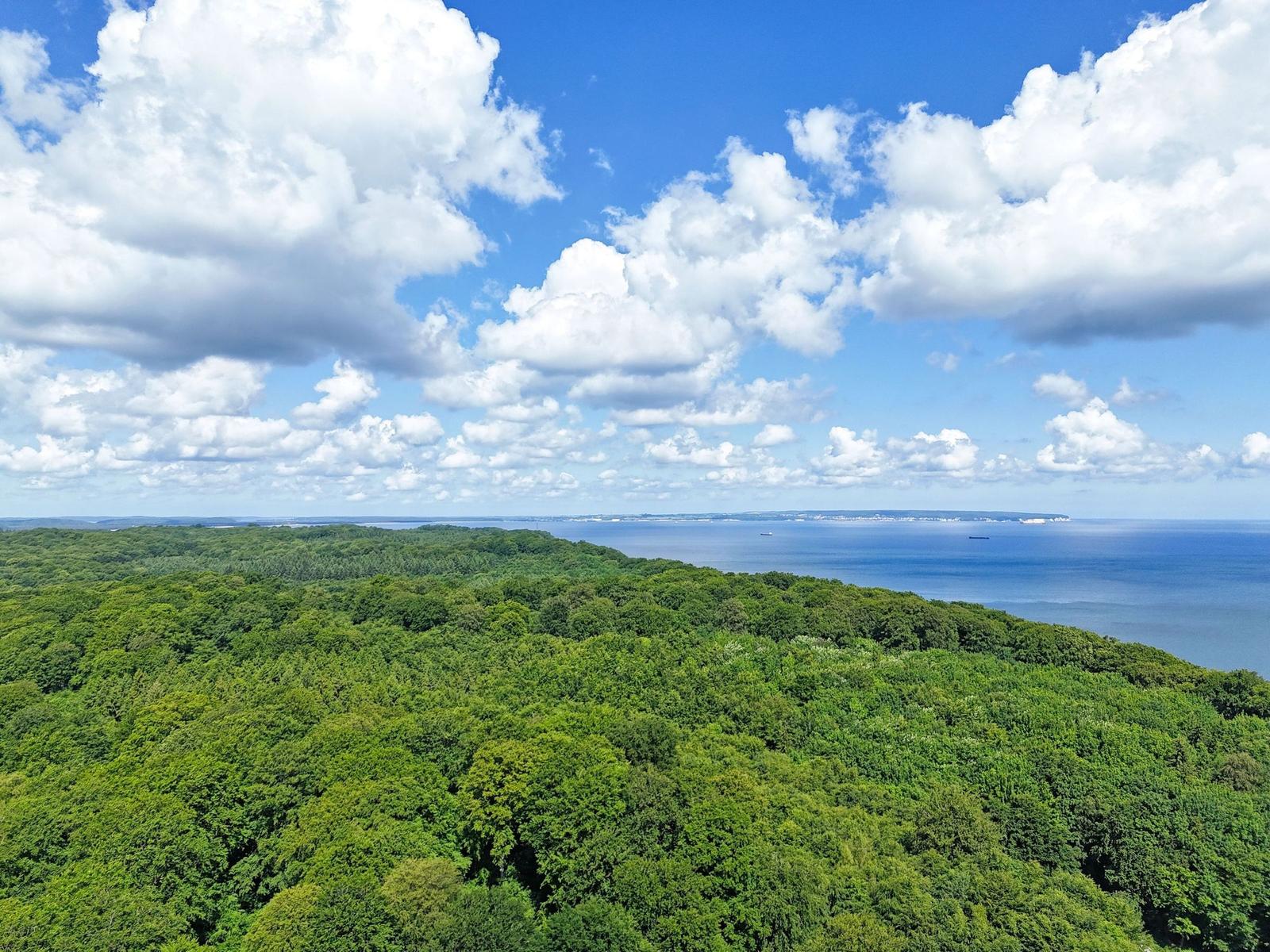 Weitläufiger Blick auf Wald und Meer unter blauem Himmel mit weißen Wolken.